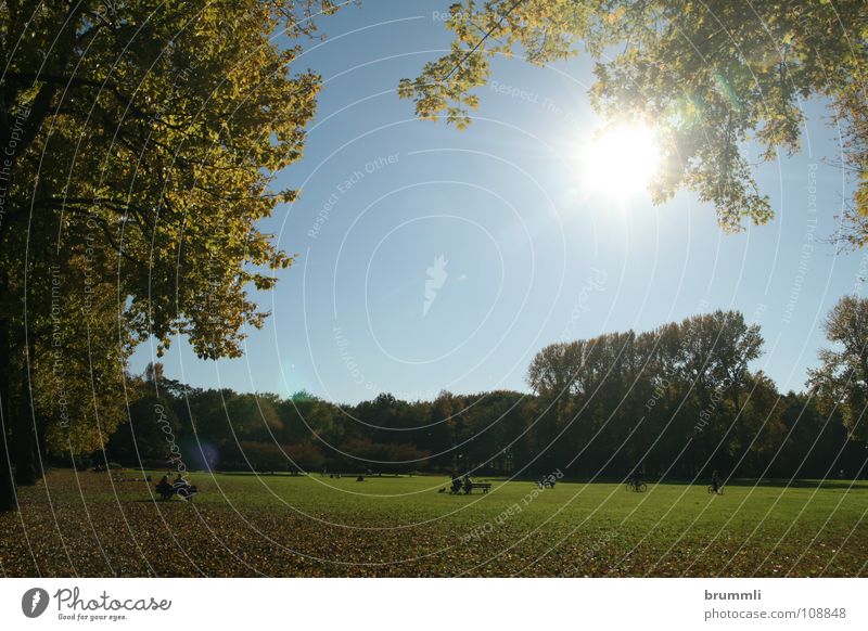 Herbsttag im Park Waldlichtung Dortmund Nordrhein-Westfalen beschaulich Erholung erholsam Landschaftsformen Stadtrand Freundlichkeit Parkbank Wiese Blatt