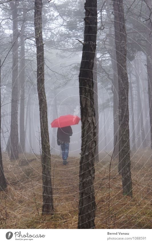 Märchenstunde Kind Mensch feminin Mädchen Kindheit 1 8-13 Jahre Natur Wetter Nebel Baum Wald Regenschirm gehen träumen blau braun grau grün rot Einsamkeit
