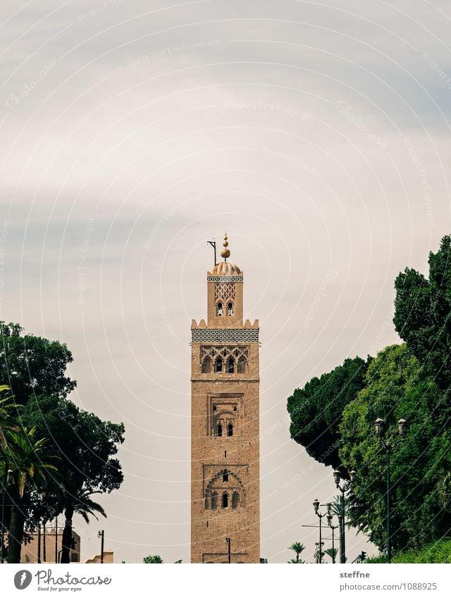 Around the World | Marrakech around the world steffne fotoreise Ferien & Urlaub & Reisen Tourismus Erde Städtereise weltenbummler