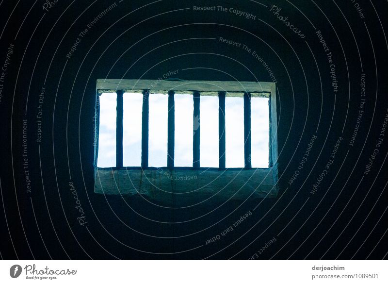 In einer der Zellen des Trial Bay Gaol - Mid North Coast, mit Blick nach draußen. NSW / Australia ruhig Gefängniszelle gefangen Justizvollzugsanstalt Gitter
