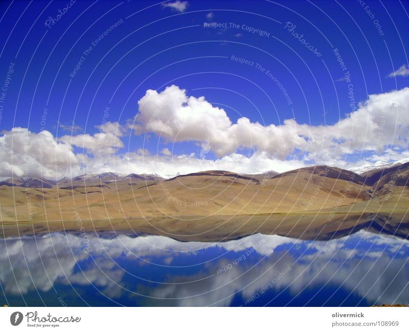 spiegelbild Wolken See Reflexion & Spiegelung weiß braun Stimmung Indien Luft Ladakh Bergsteigen Gebirgssee wandern Einsamkeit Berge u. Gebirge blau Freiheit