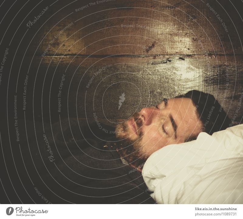 winterschlaf maskulin Mann Erwachsene Leben 30-45 Jahre genießen schlafen natürlich träumen Dreitagebart Bart Müdigkeit Holzwand Kissen Bett Bettwäsche liegen