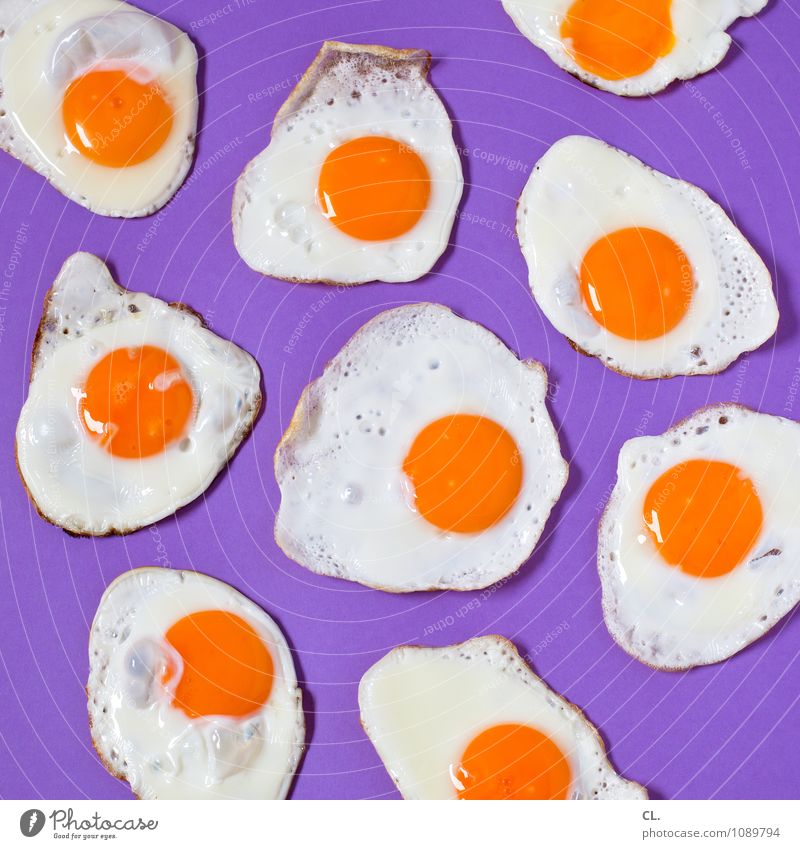 ei der daus Lebensmittel Ei Spiegelei Ernährung Essen Frühstück violett orange weiß Farbe Inspiration Kreativität Super Stillleben Farbfoto Innenaufnahme
