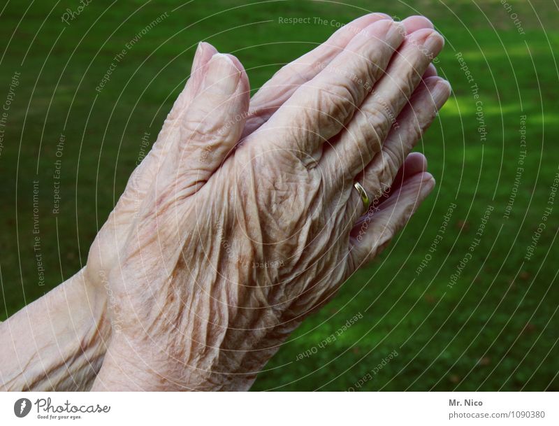 Urbi et orbi Körperpflege Haut feminin Großmutter Senior Arme Hand Finger 60 und älter Umwelt Gebet Gefühle Hautfalten geduldig Weisheit Sorge Trauer Einsamkeit
