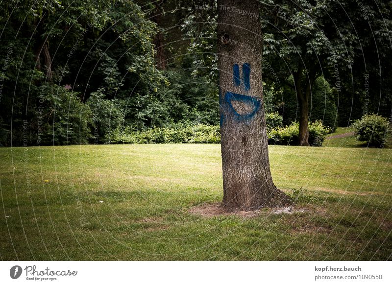 Baum mit Humor Wald Zeichen Graffiti positiv Frühlingsgefühle Glück Lebensfreude Optimismus lachen Smiley lustig grün sympathisch April Menschenleer