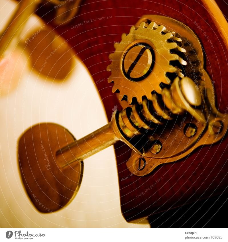 Kontrabass Elektrobass Musikinstrument Holz edel Zahnrad nobel streicher Streichinstrumente Orchester musizieren Makroaufnahme Klang Schraube Beschläge