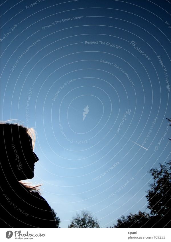 Stadtpark II Flugzeug Gegenlicht Sonnenstrahlen Silhouette Baum Kondensstreifen Düsenjäger Horizont Kraft Blauer Himmel Profil Nase Haare & Frisuren