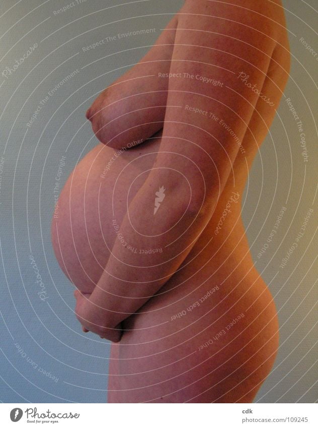 schwanger II Frau nackt feminin Babybauch Körperhaltung Seite mehrere Entwicklung Zeit Wachstum entstehen Zusammensein Embryo Mutter rund schön Ausdauer