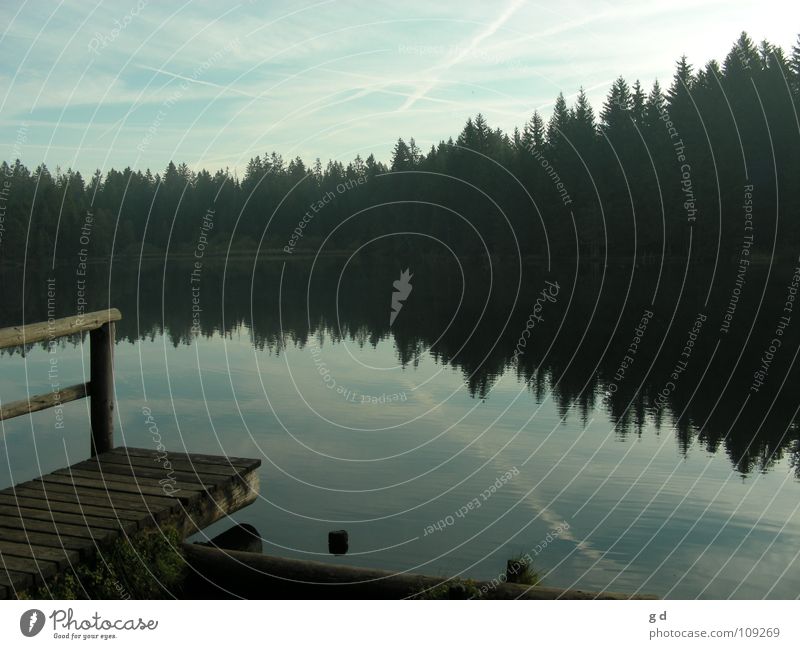 Etang de Gruère – Water Reflections I See Wald Reflexion & Spiegelung Holz harmonisch Herbst Postkartenstimmung Wasser