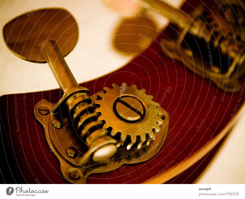 Kontrabass Elektrobass Musikinstrument Holz edel Zahnrad nobel streicher Streichinstrumente Orchester musizieren Makroaufnahme Klang Schraube Beschläge