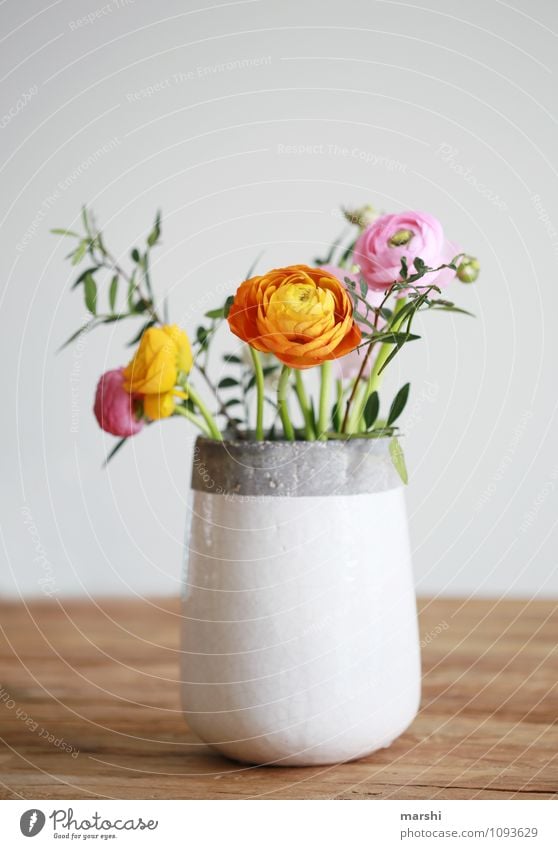 Frühlingsboten Natur Pflanze Blume Sträucher Blatt Blüte Stimmung Dekoration & Verzierung Blumenstrauß Ranunkel Vase Frühlingsfarbe Frühlingsgefühle schön