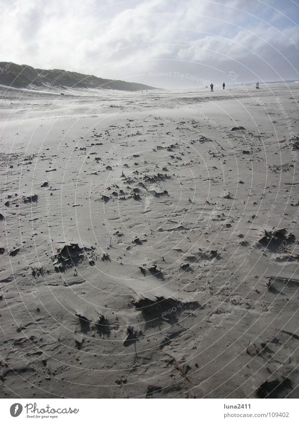 Sandsturm Teil 2 Strand Sturm Meer Küste Wolken Gegenlicht Leidenschaft Himmel Erde Wind Stranddüne Berge u. Gebirge Wasser Nordsee Spaziergang Stein Spitze