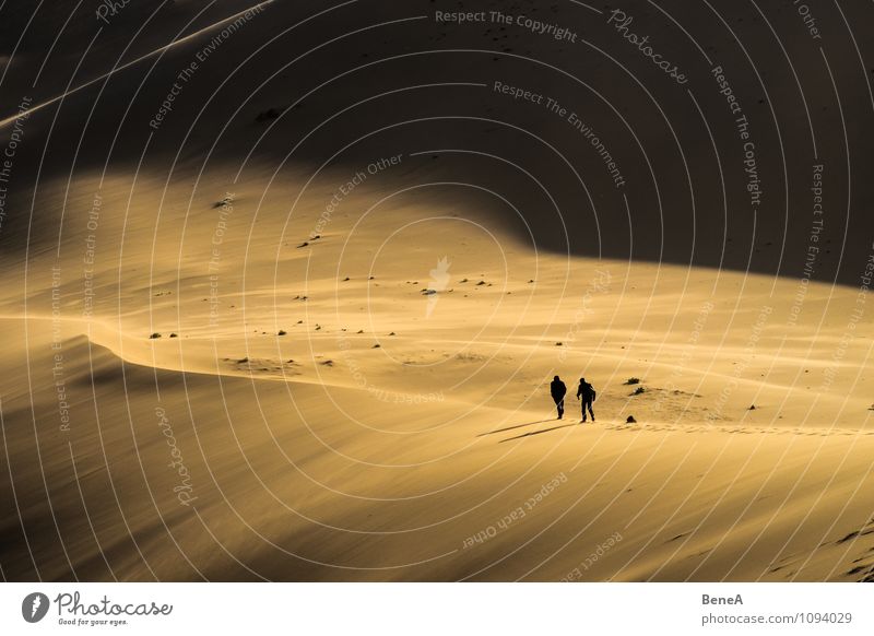 Dune exotisch Mensch 2 Natur Landschaft Sand Hügel Wüste Stranddüne Mongolei Asien gehen wandern außergewöhnlich Unendlichkeit wild Tapferkeit Neugier