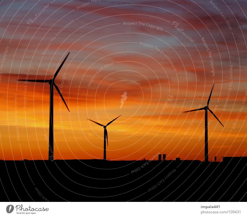 windschatten Windkraftanlage Sonnenuntergang schwarz rot Horizont Dämmerung Elektrizität Erneuerbare Energie drehen Umwelt Umweltschutz Industrie Kraft Himmel