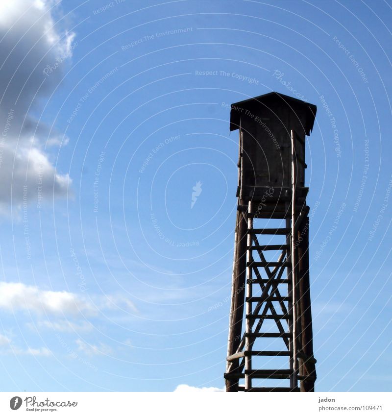 Himmelsleiter Wolken Hochsitz weiß Horizont aufsteigen Einsamkeit ruhig Karriere Quadrat Freizeit & Hobby Leiter Turm blau himmelwärts Klettern Jagd go aufwärts