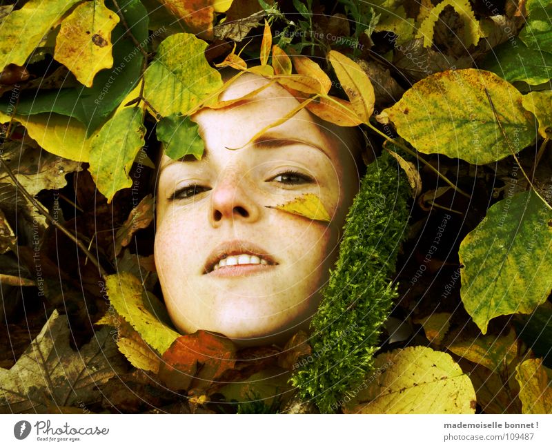 Verschollen Gesicht Abenteuer feminin Frau Erwachsene Natur Erde Herbst Blatt Moos Wald Blick kalt nass braun gelb grün ruhig Sehnsucht stagnierend Umwelt