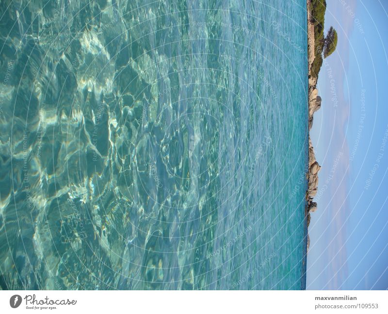 *BAY WATCH* Baum Meer Strand Ferien & Urlaub & Reisen Korsika Bucht Wasser Sand blau