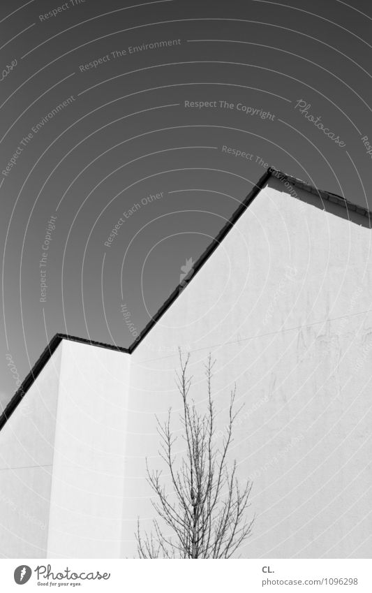 tendenz Wolkenloser Himmel Schönes Wetter Baum Haus Gebäude Architektur Mauer Wand ästhetisch Wachstum Häusliches Leben Ziel minimalistisch karg Schwarzweißfoto