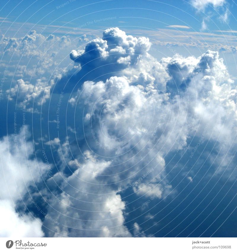 Aerosol Luft Wolken Klima Schönes Wetter fliegen kuschlig oben blau authentisch Fernweh Freiheit Horizont Inspiration Optimismus Wasserdampf Wolkenformation