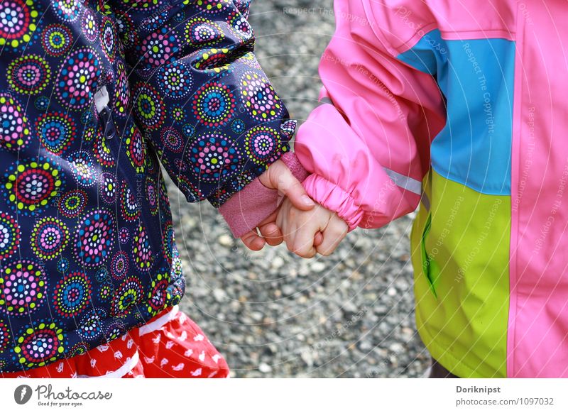 Kinderfreundschaft Mensch Kleinkind Freundschaft Kindheit Hand 2 berühren gehen authentisch einfach Fröhlichkeit Zusammensein niedlich Glück Lebensfreude