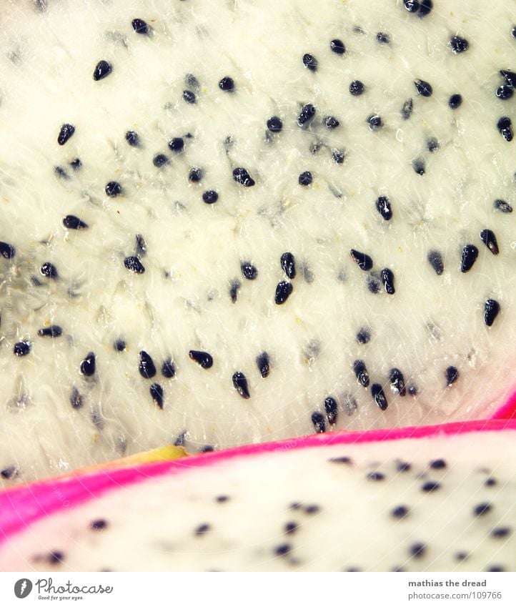 Drachenfrucht Fruchtfleisch süß weiß schwarz rosa violett saftig essbar aufgeschnitten lecker Selenicereus-Arten Kakteengewächse Ernährung Samen Makroaufnahme