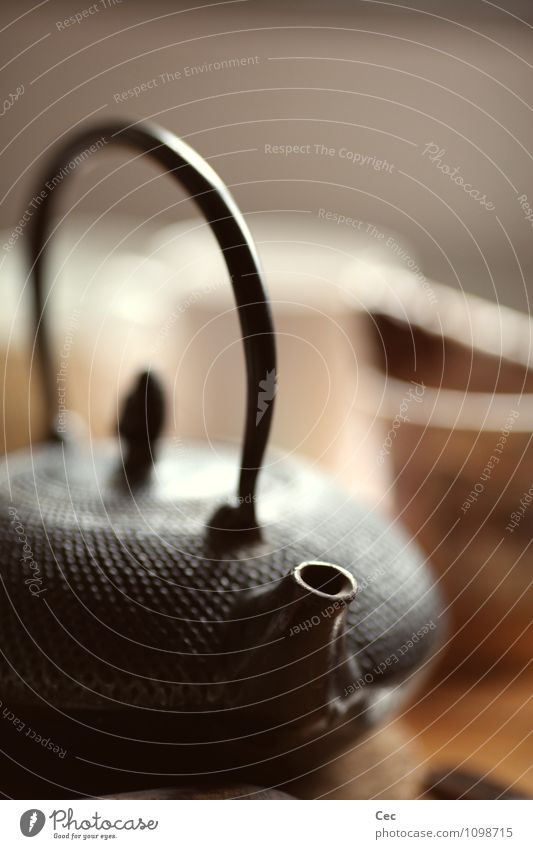 Durch diese hohle Kanne II Heißgetränk Tee Teekanne elegant Gesundheit harmonisch Wohlgefühl Häusliches Leben Metall Erholung genießen Reinigen warten