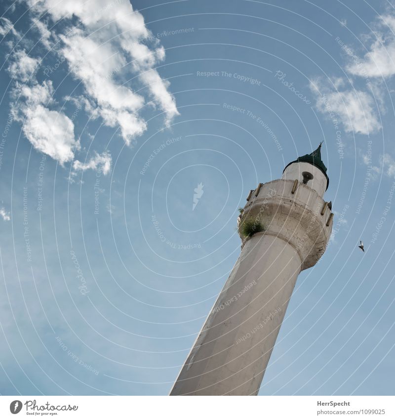 Gebetsmühle Istanbul Stadtzentrum Altstadt Turm Bauwerk Gebäude Zeichen hoch Islam Religion & Glaube Minarett Moschee Muezzin Vogel Wolken schieflage Neigung
