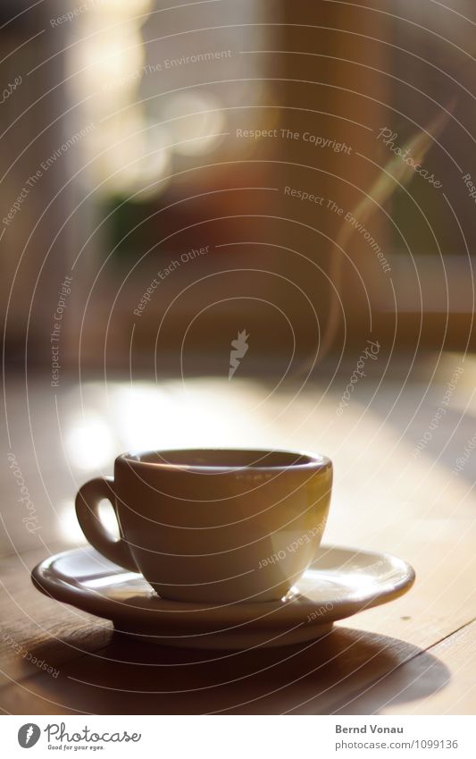 un altro? Lebensmittel Frühstück Getränk Heißgetränk Espresso Tasse Gefühle Stimmung Zufriedenheit Kaffee dampf Partikel Holz Reflexion & Spiegelung genießen