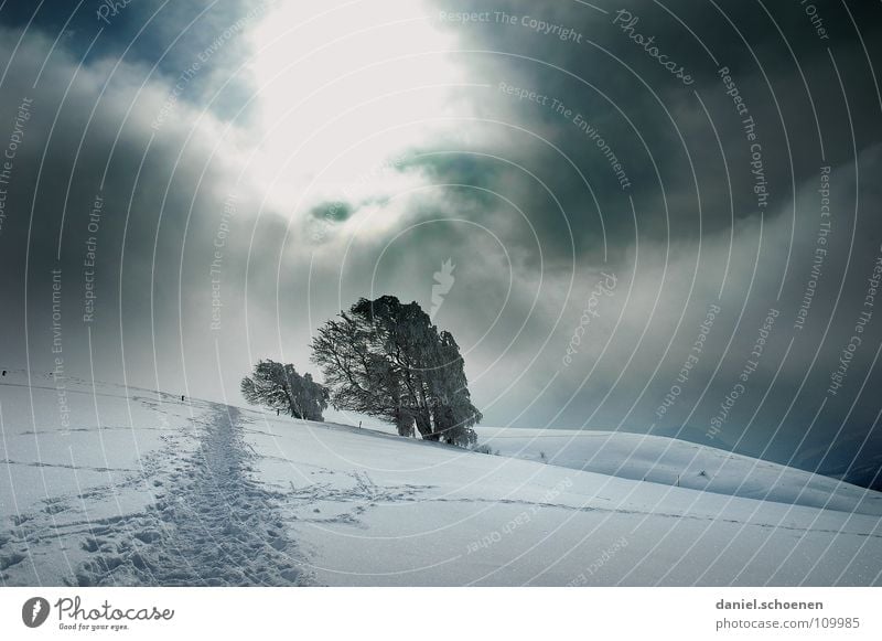 Weihnachtskarte (dramatisch) Sonnenstrahlen Wolken kalt Licht weiß Baum Ferien & Urlaub & Reisen Wintersport Winterurlaub Schwarzwald Tiefschnee Pulverschnee