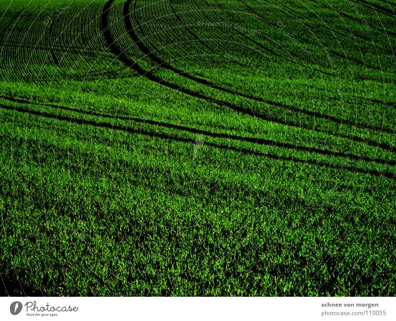FERNE Feld grün Gras Herbst Dämmerung Kreis schwarz Gastronomie Ackerbau Furche