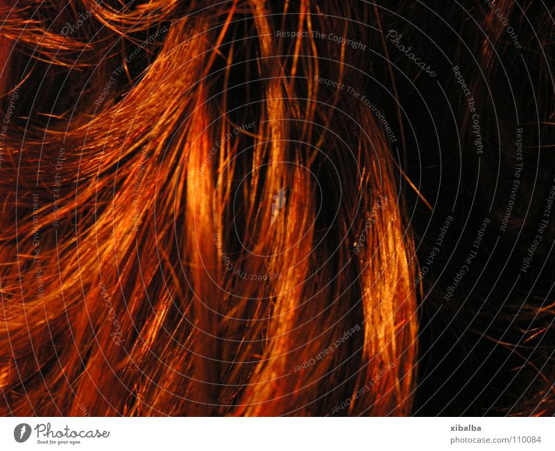 Feuerrot Locken Haarsträhne glänzend Farbe Haare & Frisuren schimer orange