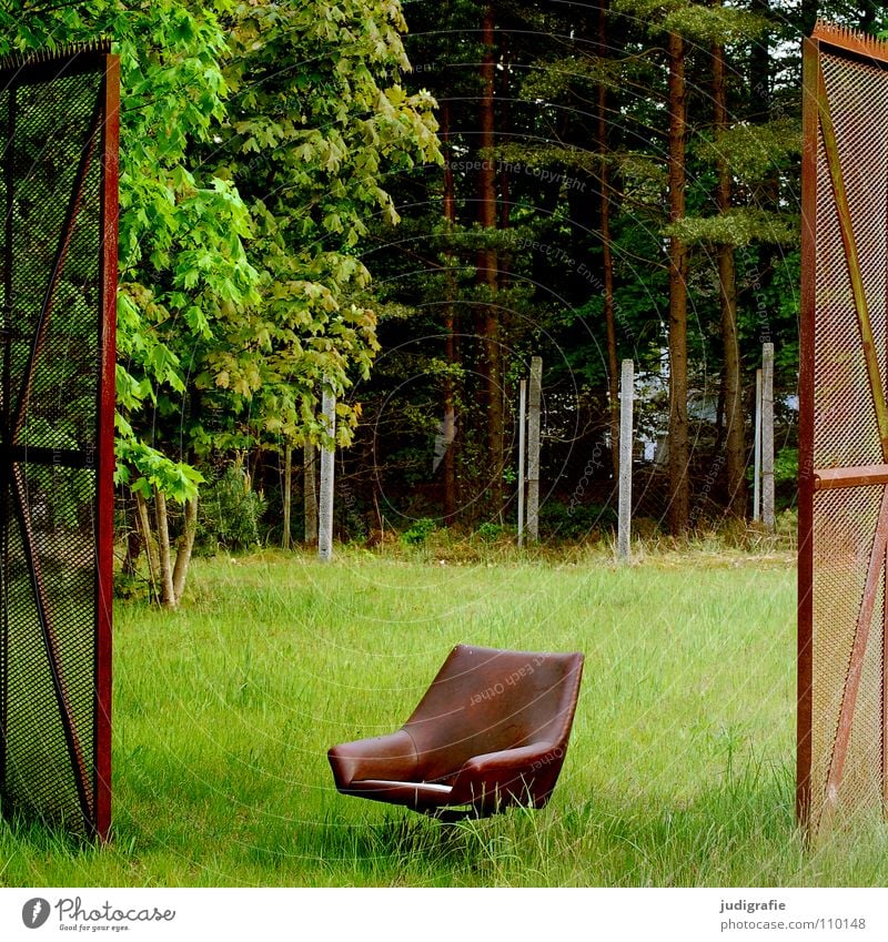 Dazwischen Zaun Sessel Wiese Wald Grundstück Grenze oben Sitzgelegenheit grün braun Farbe Möbel Tor offen dazwischen