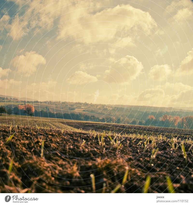 Kahlschlag Feld Ackerbau Aussaat Landwirtschaft Herbst Saatgut Stoppel Wolken Vergänglichkeit Erde Ernte gerteide Himmel Landschaft