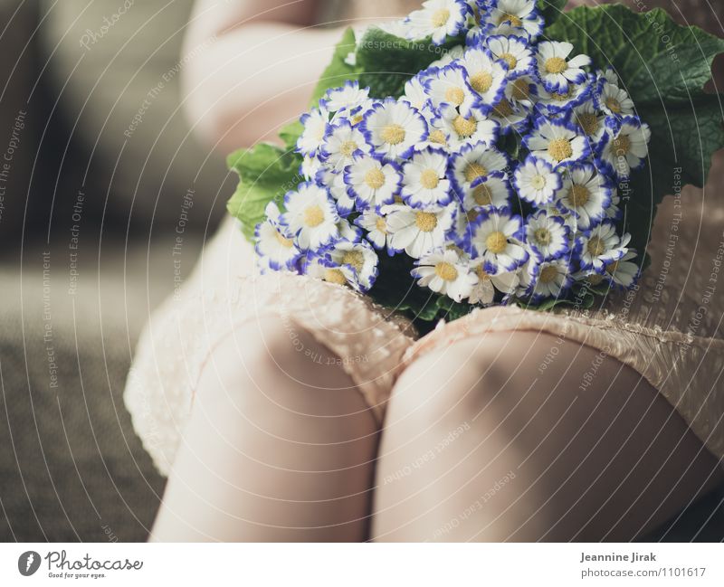 Frühlingsblumen auf dem Schoß harmonisch Zufriedenheit ruhig Valentinstag Muttertag Hochzeit Verlobung Dienstleistungsgewerbe Handwerk Floristik Mensch feminin