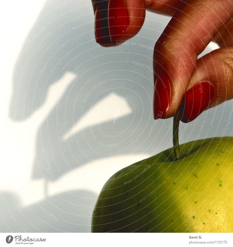Berührungsangst Apfelstiel Finger berühren festhalten hochhalten Nagellack rot Fingernagel braun Schattenspiel Lebensmittel fruchtig süß saftig Fruchtzucker