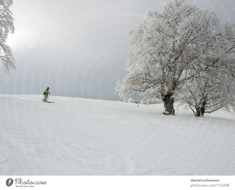 die Ski schon aus dem Keller geholt ? Winter kalt Licht Monochrom Raureif weiß Ferien & Urlaub & Reisen Wintersport Winterurlaub Schwarzwald Tiefschnee
