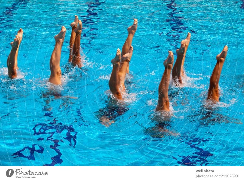 Synchron schwimmen Lifestyle Schwimmbad Tanzen Sport Sportmannschaft tauchen Mädchen Frau Erwachsene Fuß Tropfen atmen Fitness Schwimmen & Baden Spielen nass