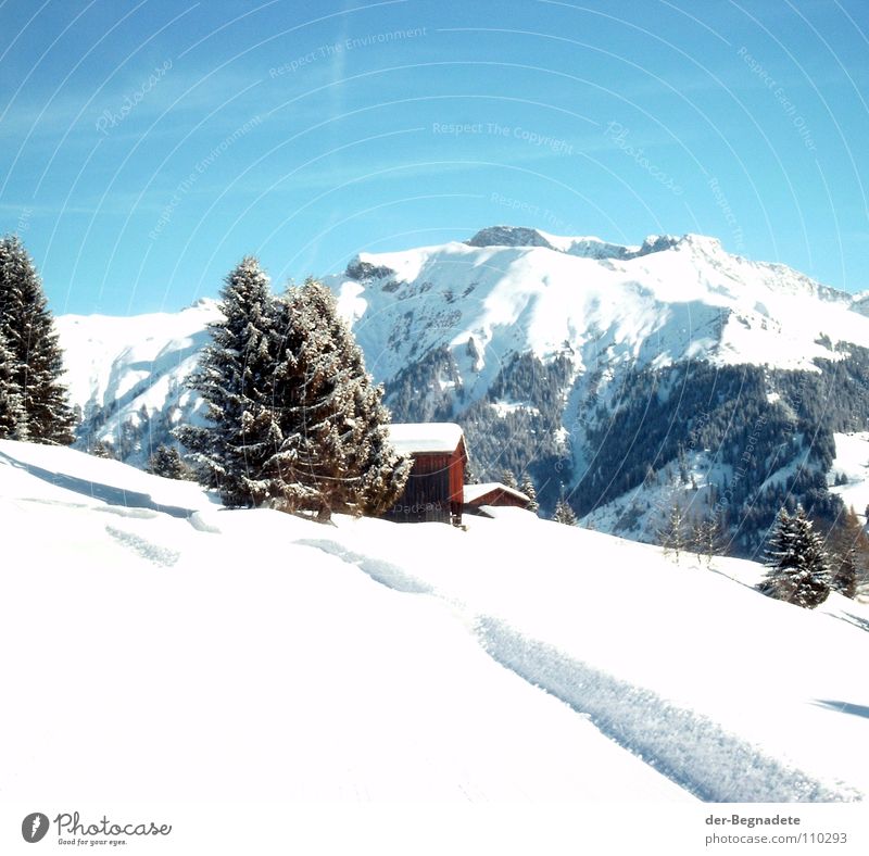 Schneeberge Winter Februar kalt Neuschnee Winterurlaub Schneewandern Kanton Graubünden Schweiz weiß Schneewehe Holzhütte Berghütte Dach braun Schönes Wetter