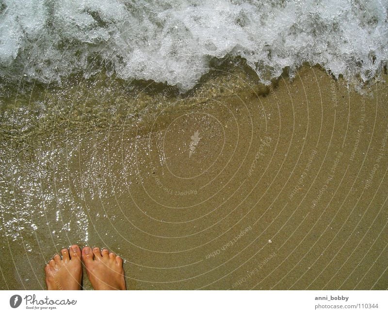 Fühl das Meer Sommer Strand Wellen spritzen weiß Schaum Zehen braun Gefühle nass Ferien & Urlaub & Reisen Küste Wasser Sand Fuß Reflektion sun ocean water wave