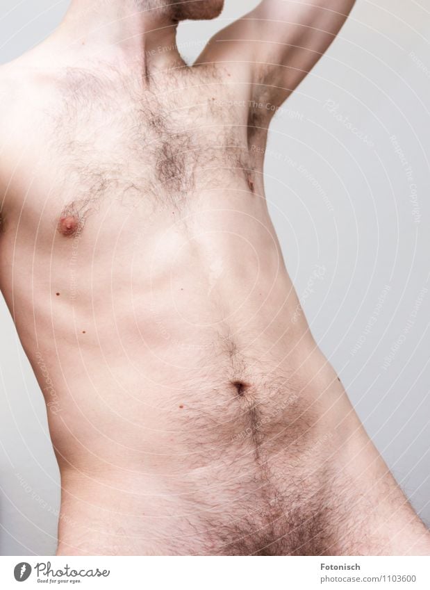 Hollywood Cut - Nein Danke Mensch maskulin Junger Mann Jugendliche Erwachsene Körper Bauch Schambereich Oberkörper 1 18-30 Jahre Behaarung Brustbehaarung