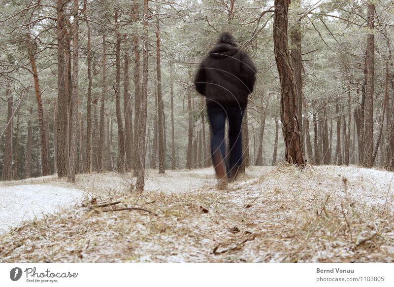 Bewegung! Mensch maskulin Mann Erwachsene Körper 1 45-60 Jahre rennen Sport laufen kalt Schnee Wald Pinie Kiefer Waldboden Winter Joggen flüchten Kapuze schwarz