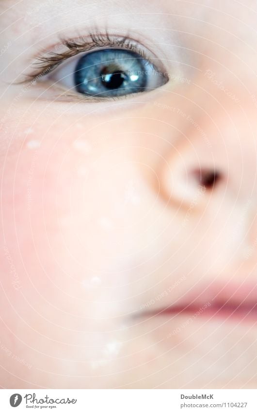 Kindergesicht im Detail mit Wassertropfen unter dem Auge Mensch Baby Kleinkind Kindheit Kopf Gesicht Nase Mund Lippen 1 0-12 Monate 1-3 Jahre beobachten Denken