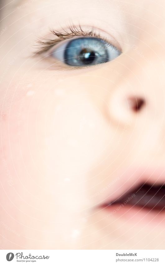 Erstauntes Kleinkind im Detail mit offenem Mund und großem Auge Mensch Kind Baby Kindheit Kopf Gesicht Nase Lippen 1 0-12 Monate 1-3 Jahre Lächeln lachen