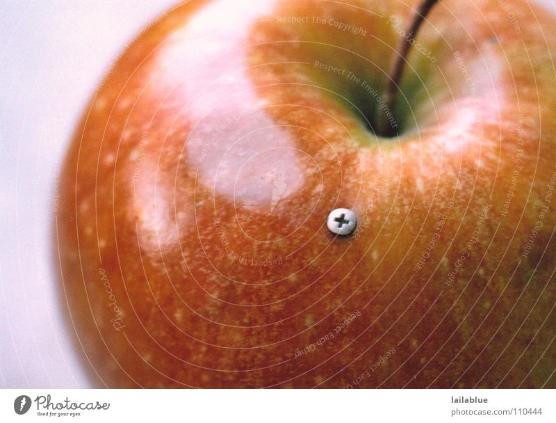 apple 2.0 Lebensmittel Frucht Apfel Bioprodukte Snack Gesundheit Erntedankfest Hardware Software Schraube High-Tech Natur Sommer Herbst Metall frisch lecker