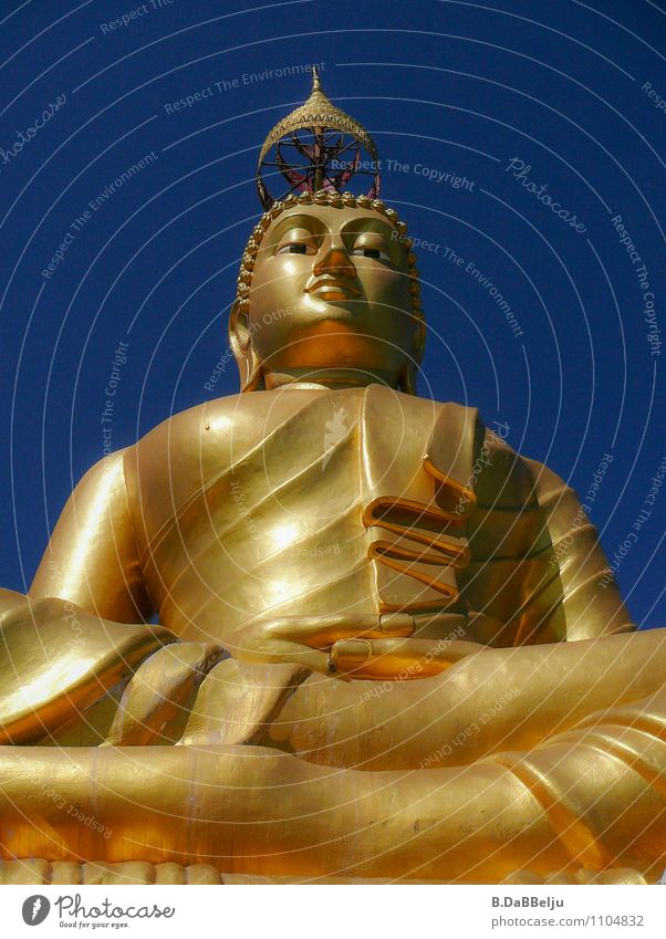 Buddha Safari Körper 1 Mensch Kunst Kunstwerk Skulptur Kultur Sehenswürdigkeit Wahrzeichen Denkmal Gold entdecken Erholung Ferien & Urlaub & Reisen ästhetisch