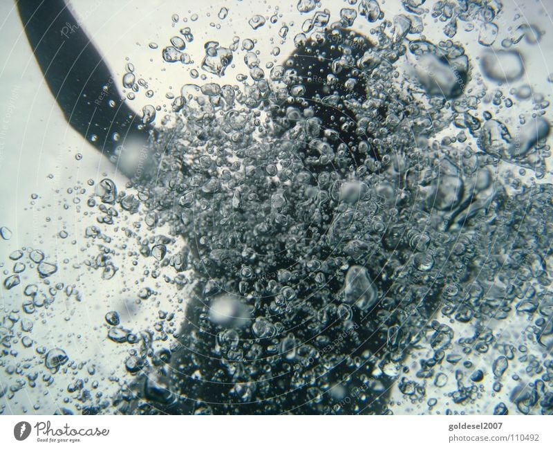 Unterwasser-luftblasen Luftblase Geschwindigkeit nass Meer schön Mann Schwimmsportler Unterwasseraufnahme Wasser Wassersport Freiheit Freude