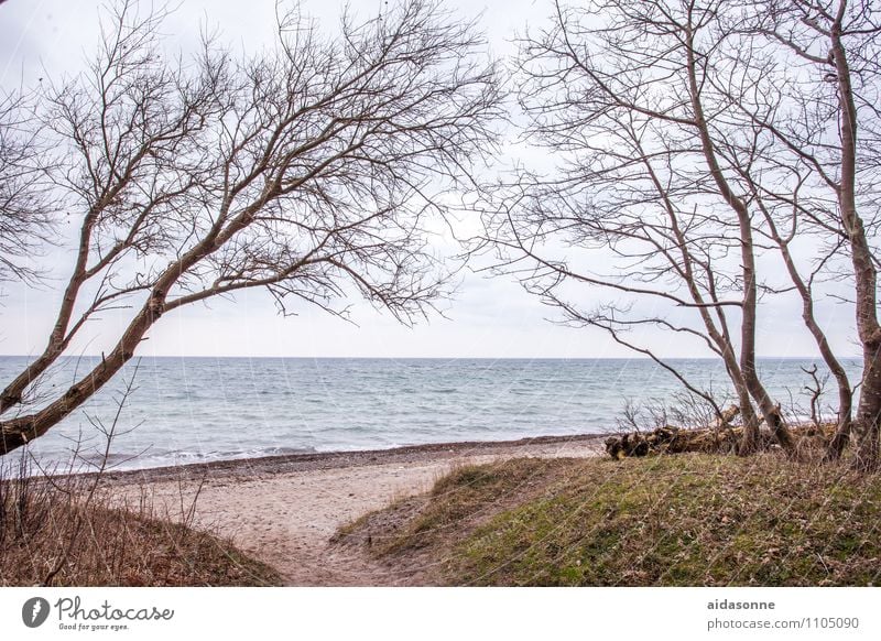 Ostsee bei Warnemünde Natur Wasser Wolkenloser Himmel Schönes Wetter Strand Zufriedenheit achtsam ruhig Fernweh Einsamkeit Mecklenburg-Vorpommern Rostock