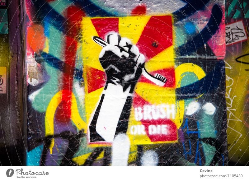Brush or die! Freizeit & Hobby Kunst Kunstwerk Australien Mauer Wand Aggression verrückt Kraft Macht Mut Stress Kontrolle Körperpflege Graffiti Zahnbürste