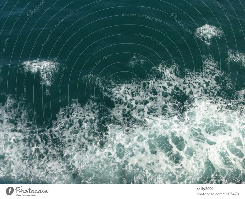 Wasserzeichen | ... Wellen Meer bedrohlich maritim Gischt sprudelnd wühlen Kielwasser wasserzeichen Zeichen Wolken Farbfoto Außenaufnahme Menschenleer Tag