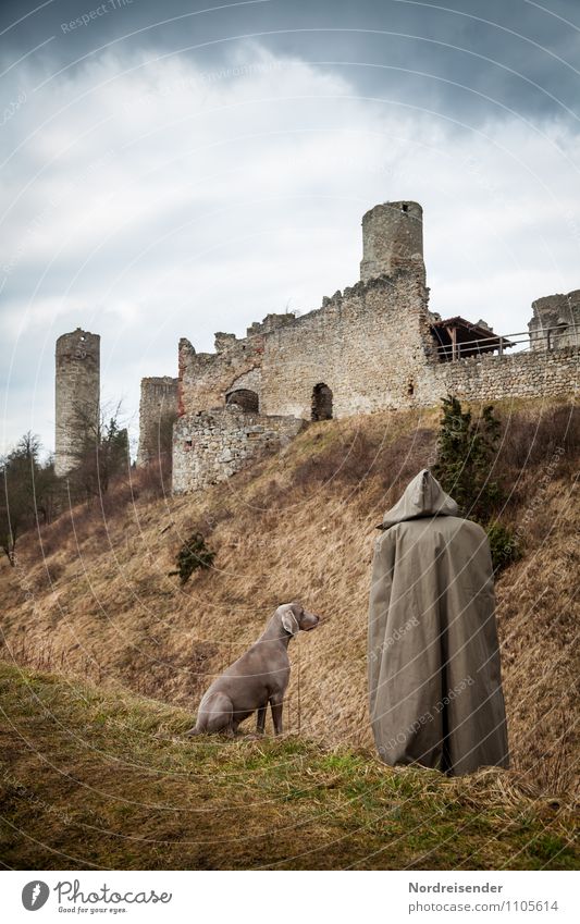 Schäfer oder Mönch.... Mensch 1 Gras Burg oder Schloss Ruine Bauwerk Architektur Sehenswürdigkeit Denkmal Tier Haustier Hund stehen warten dunkel Zusammensein